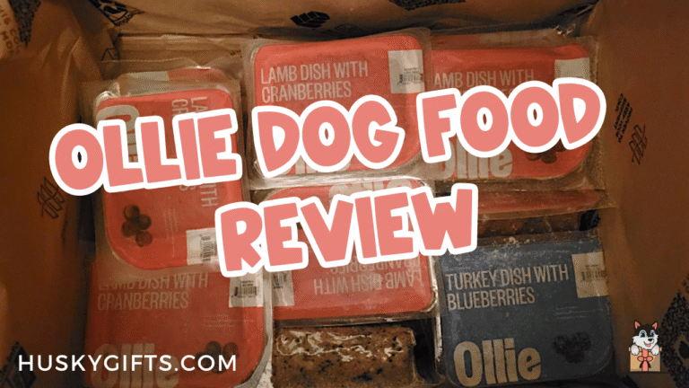 Is Ollie Dog Food Worth It