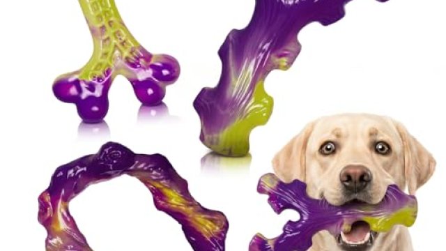 Best Chew Toy For Aggressive Chewers: Top Picks