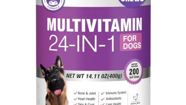 Best Dog Vitamins: Top Picks For Healthier Dogs