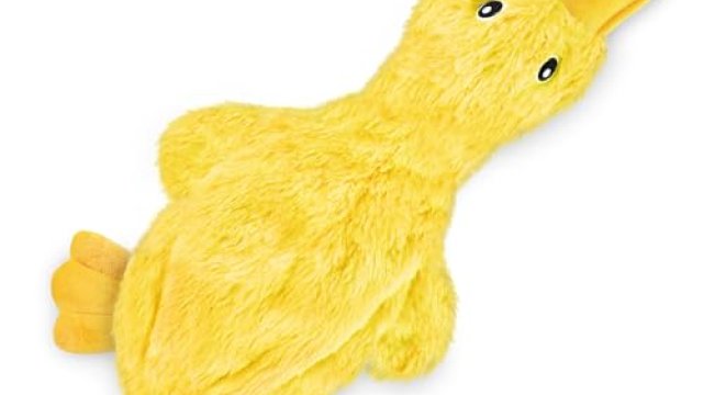 Best Squeaky Dog Toy: Top Picks For Happy Pets