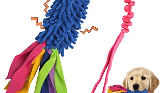 Best Tug Toy For Dogs: Top Picks For Play