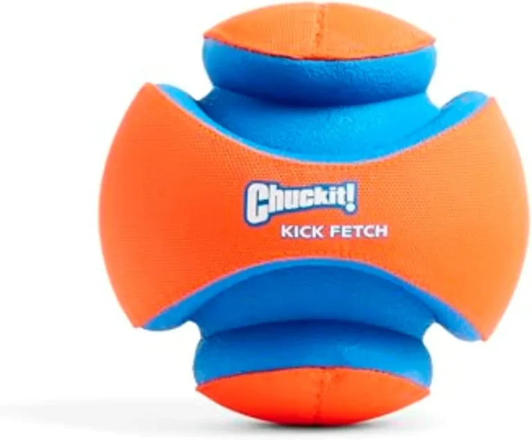 Is Chuckit Worth It