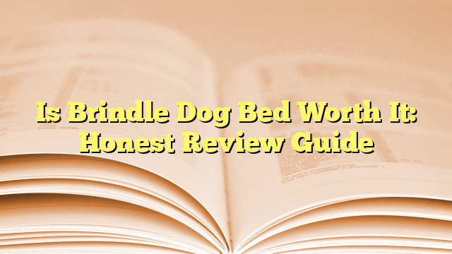 Is Brindle Dog Bed Worth It: Honest Review Guide