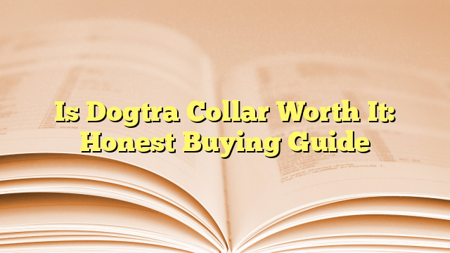 Is Dogtra Collar Worth It: Honest Buying Guide