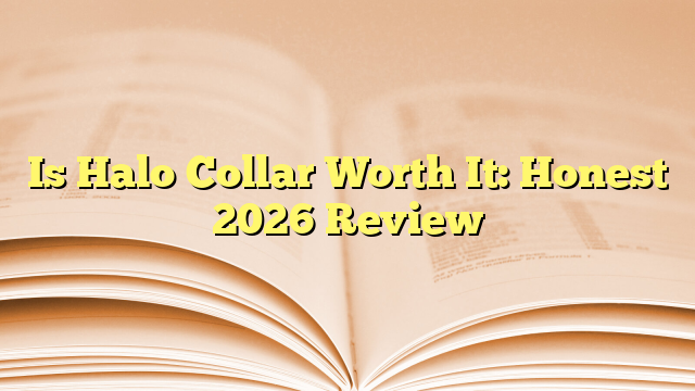 Is Halo Collar Worth It: Honest 2026 Review