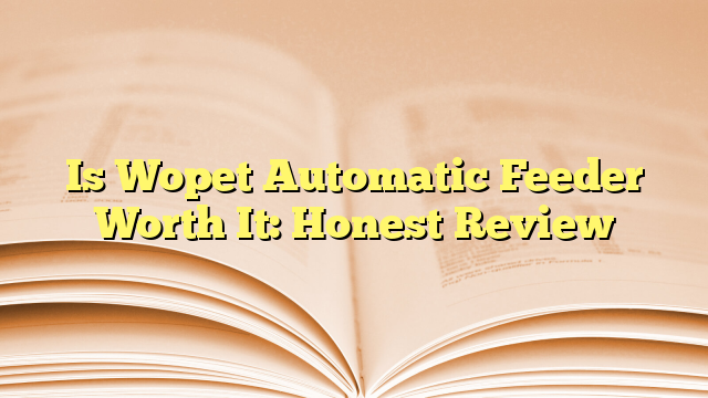 Is Wopet Automatic Feeder Worth It: Honest Review