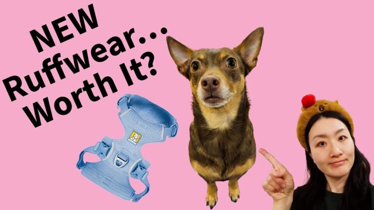 Is Ruffwear Worth It