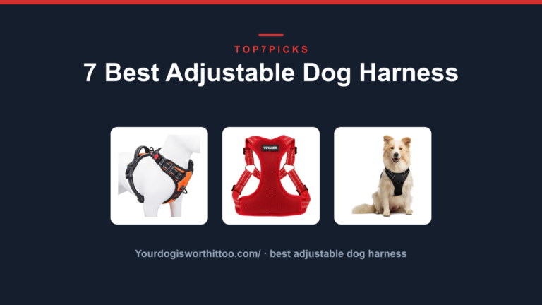 7 Best Adjustable Dog Harness