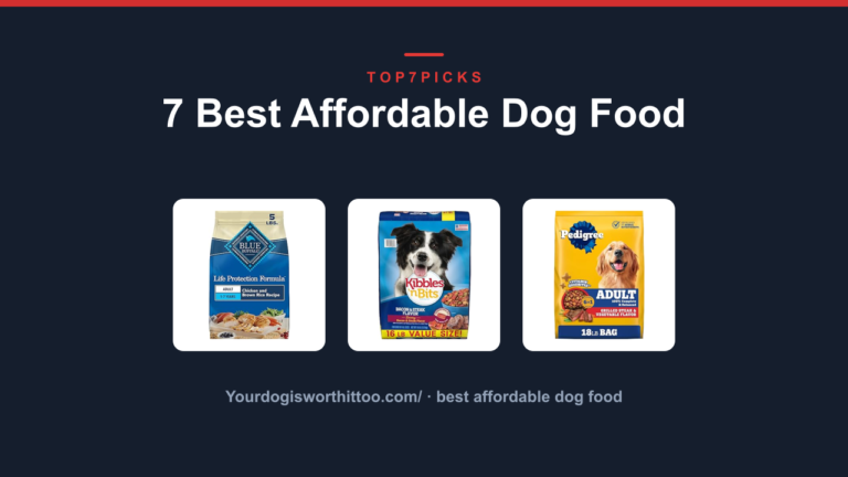 7 Best Affordable Dog Food
