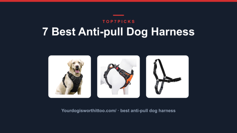 7 Best Anti-pull Dog Harness