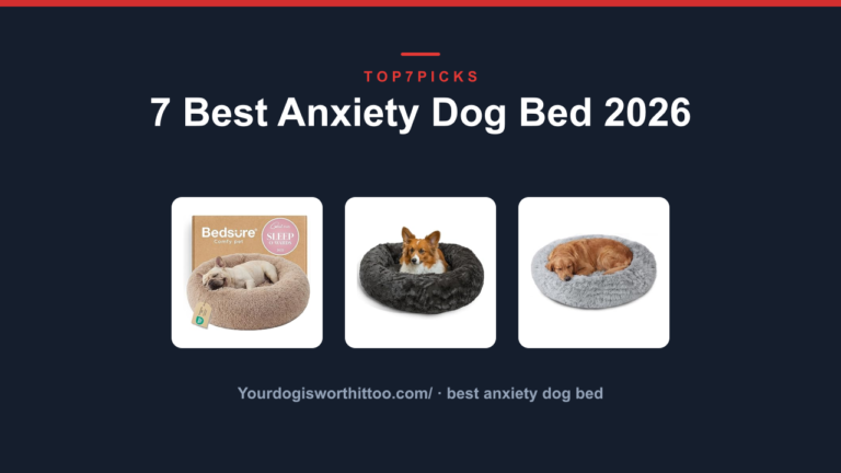 7 Best Anxiety Dog Bed 2026