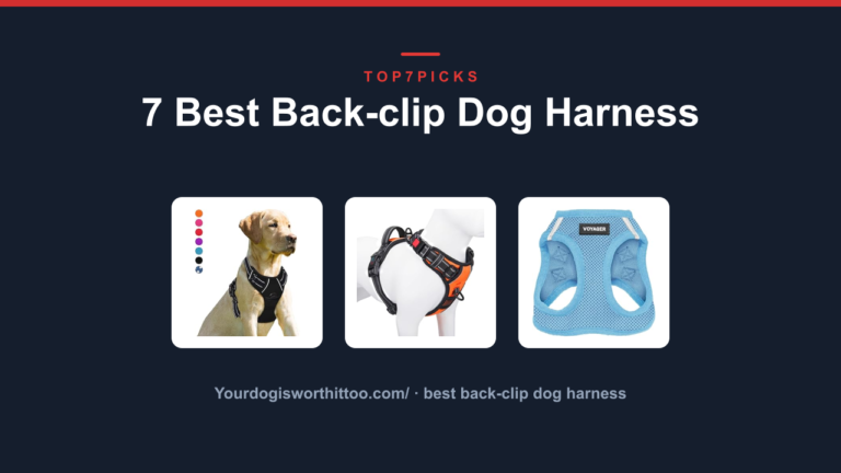 7 Best Back-clip Dog Harness