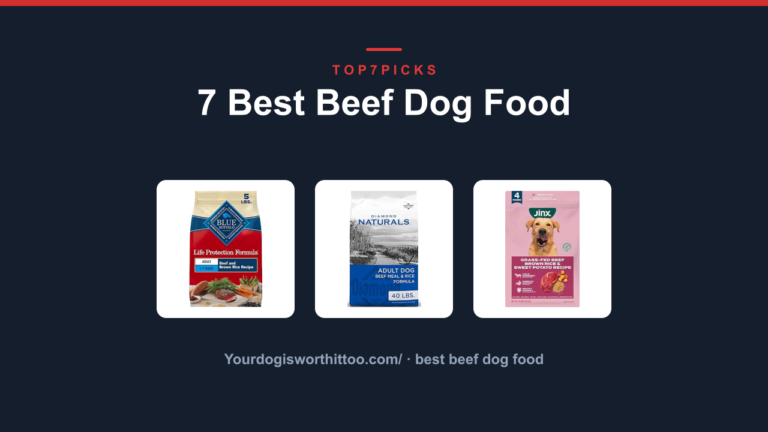 7 Best Beef Dog Food