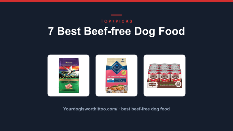 7 Best Beef-free Dog Food