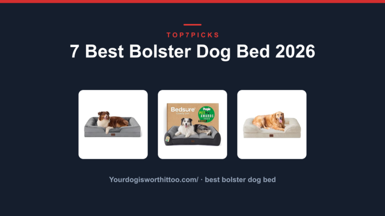7 Best Bolster Dog Bed 2026