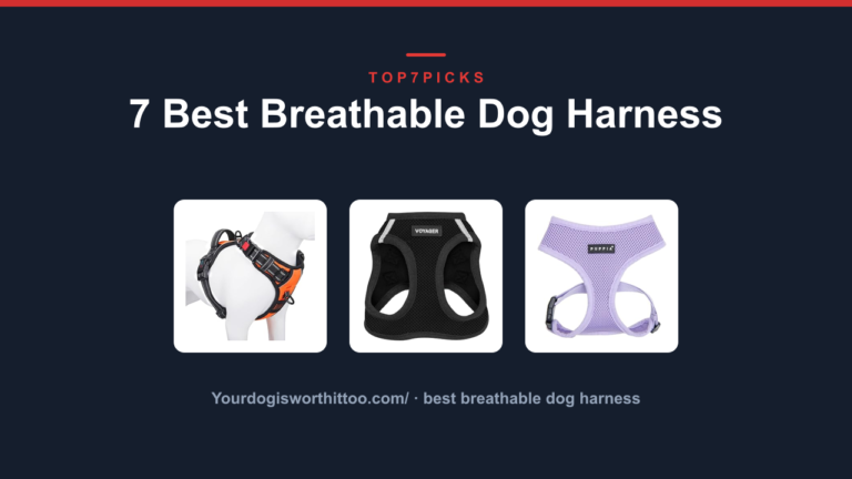 7 Best Breathable Dog Harness