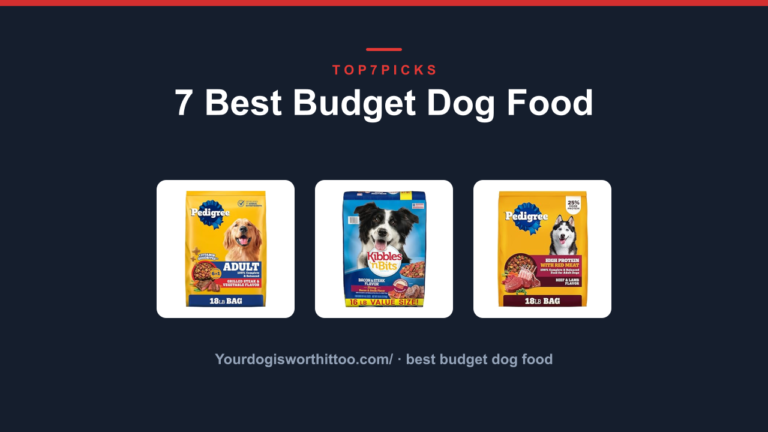 7 Best Budget Dog Food