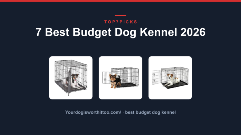 7 Best Budget Dog Kennel 2026