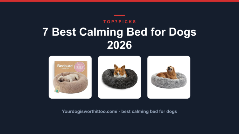 7 Best Calming Bed for Dogs 2026