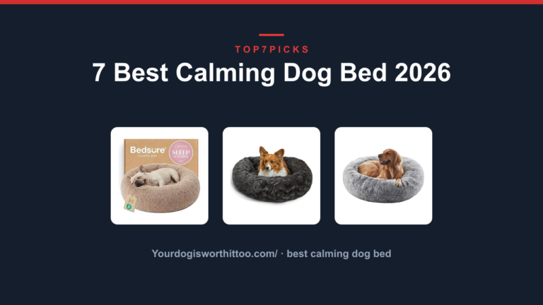 7 Best Calming Dog Bed 2026