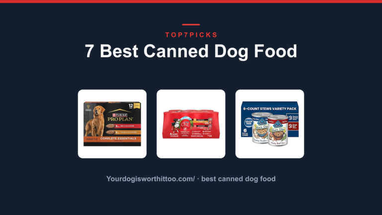 7 Best Canned Dog Food