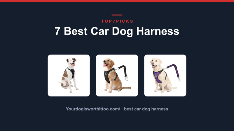 7 Best Car Dog Harness