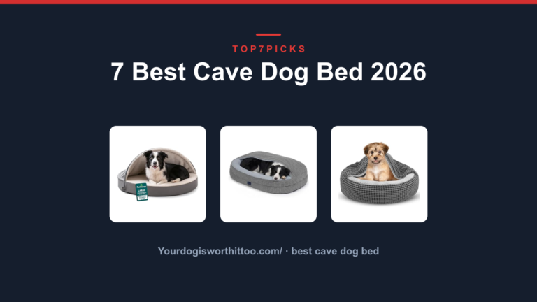 7 Best Cave Dog Bed 2026