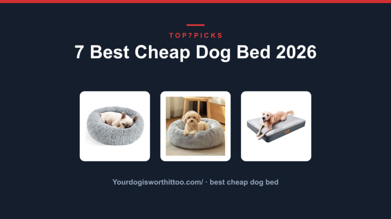 7 Best Cheap Dog Bed 2026