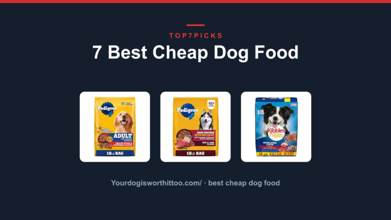 7 Best Cheap Dog Food