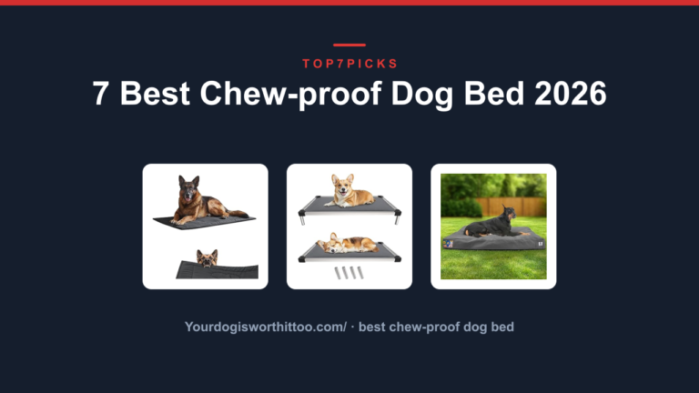 7 Best Chew-proof Dog Bed 2026
