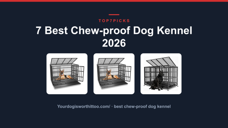 7 Best Chew-proof Dog Kennel 2026