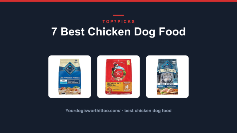 7 Best Chicken Dog Food