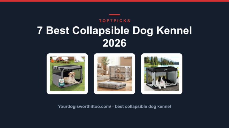 7 Best Collapsible Dog Kennel 2026