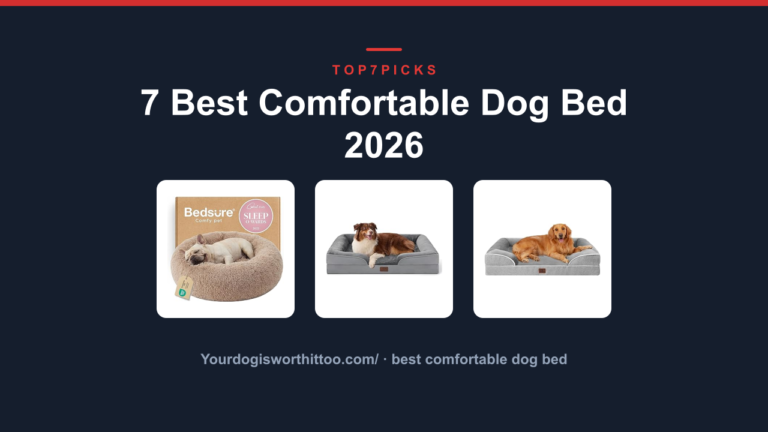 7 Best Comfortable Dog Bed 2026