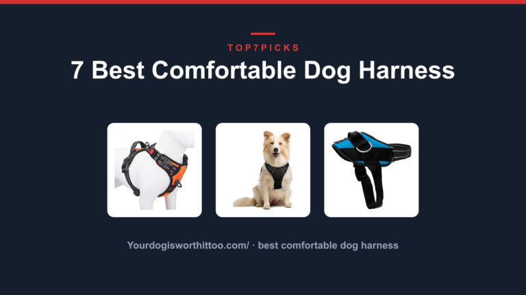 7 Best Comfortable Dog Harness