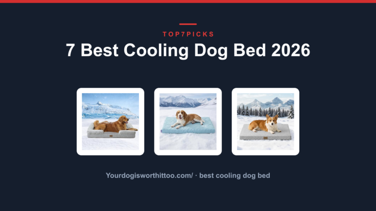 7 Best Cooling Dog Bed 2026