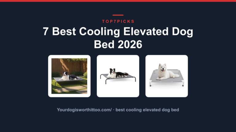 7 Best Cooling Elevated Dog Bed 2026