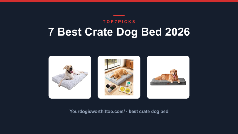 7 Best Crate Dog Bed 2026