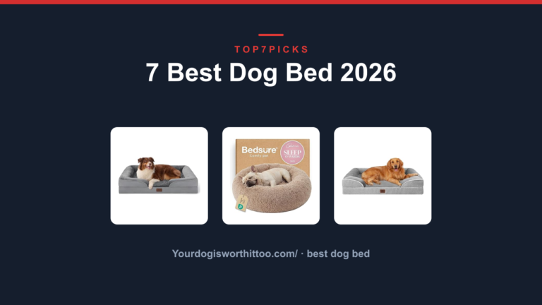 7 Best Dog Bed 2026