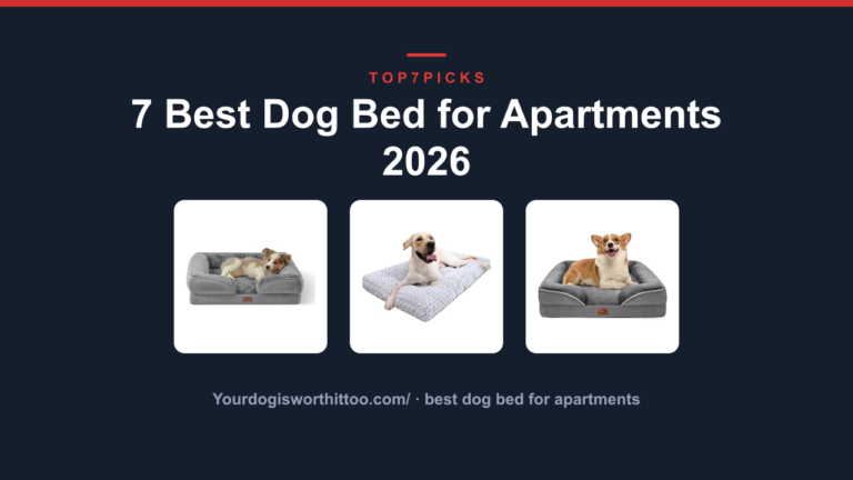 7 Best Dog Bed for Apartments 2026