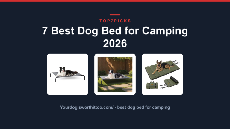 7 Best Dog Bed for Camping 2026