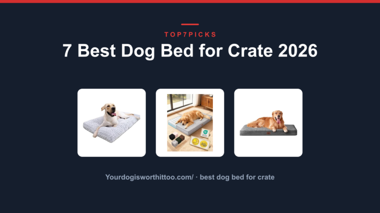 7 Best Dog Bed for Crate 2026