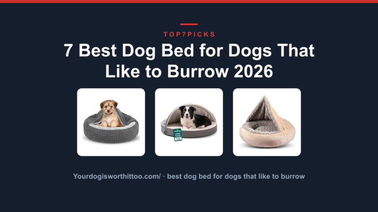 7 Best Dog Bed for Dogs That Like to Burrow 2026