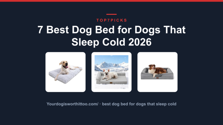 7 Best Dog Bed for Dogs That Sleep Cold 2026