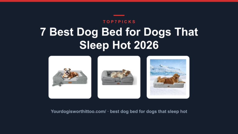 7 Best Dog Bed for Dogs That Sleep Hot 2026