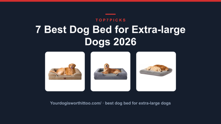 7 Best Dog Bed for Extra-large Dogs 2026