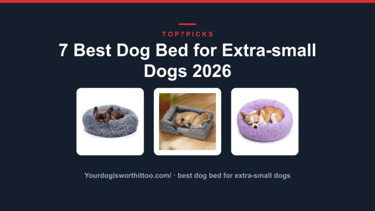 7 Best Dog Bed for Extra-small Dogs 2026