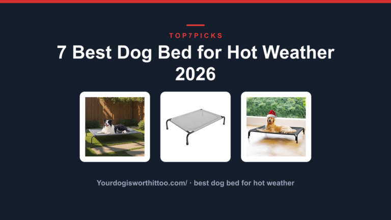 7 Best Dog Bed for Hot Weather 2026