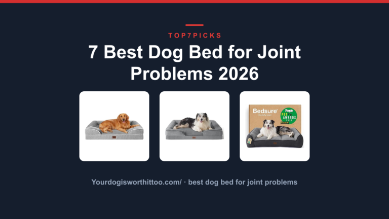 7 Best Dog Bed for Joint Problems 2026