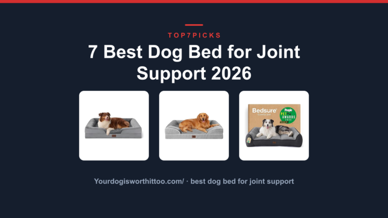 7 Best Dog Bed for Joint Support 2026